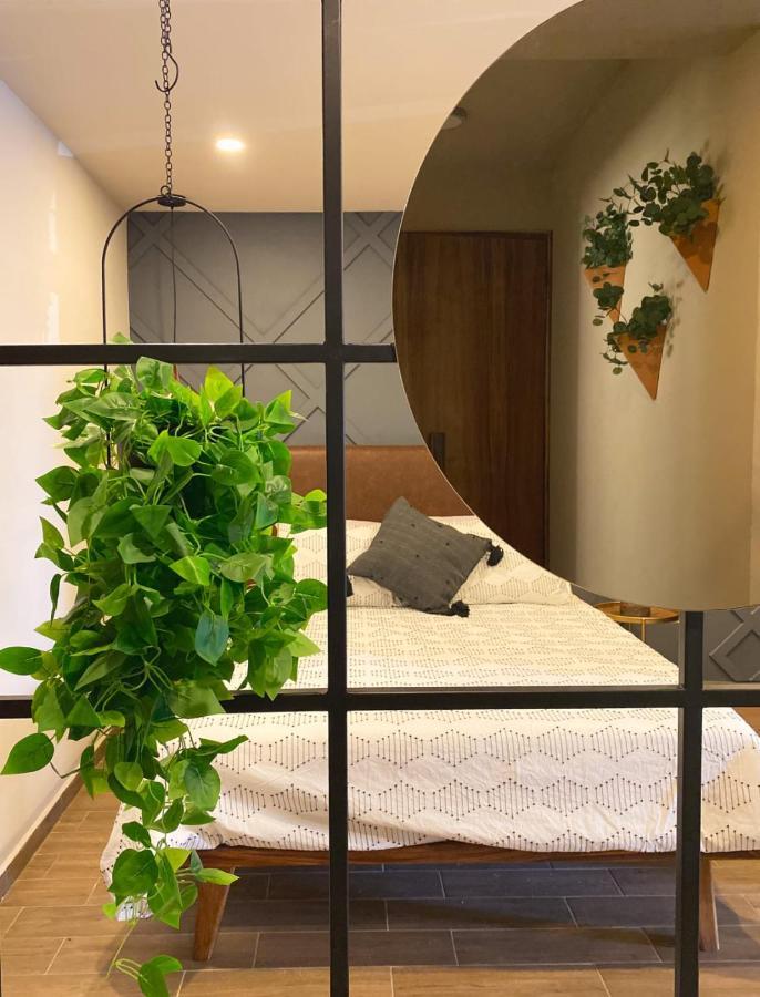 Layoo, Tu Casa En Oaxaca 101 Apartment Ngoại thất bức ảnh